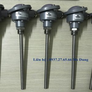 đầu dò nhiệt độ củ hành pt100