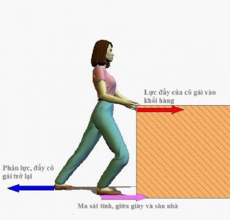 Lực ma sát là gì?