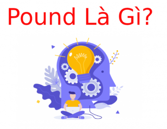Pound là gì?