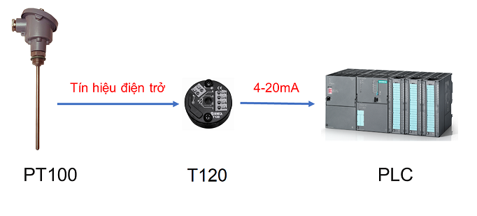 kết nối PT100 với PLC