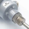 Cảm biến nhiệt độ PT100 RTS - Termotech - ảnh 2