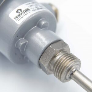 Cảm biến nhiệt độ PT100 RTS - Termotech - ảnh 2
